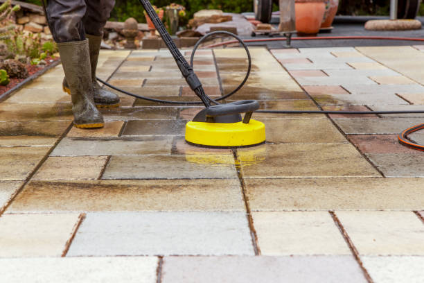 Best Driveway Pressure Washing  in Las Quintas Fronterizas, TX